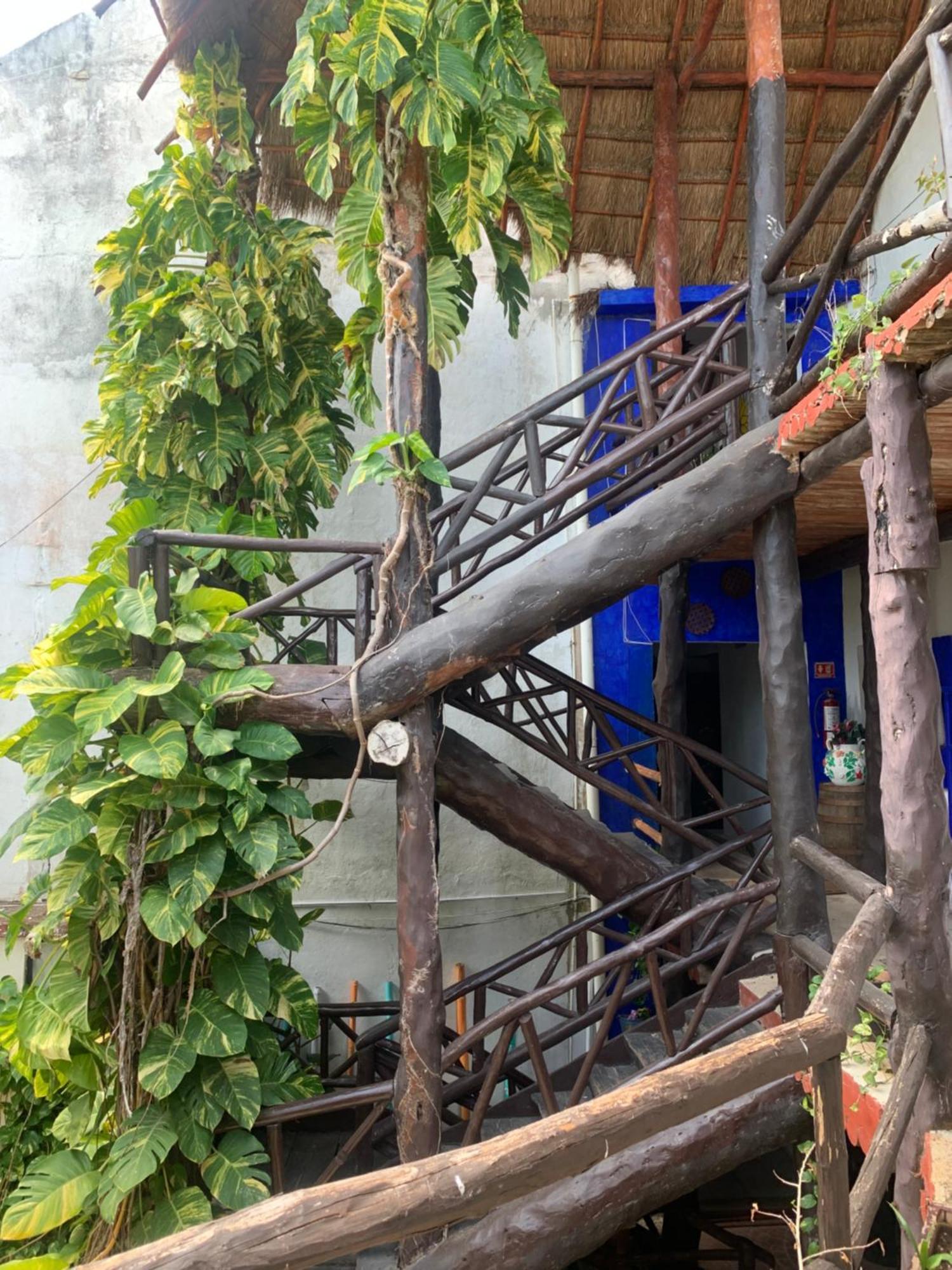 Casa Caribe Cancun Exterior photo Bamboo staircase