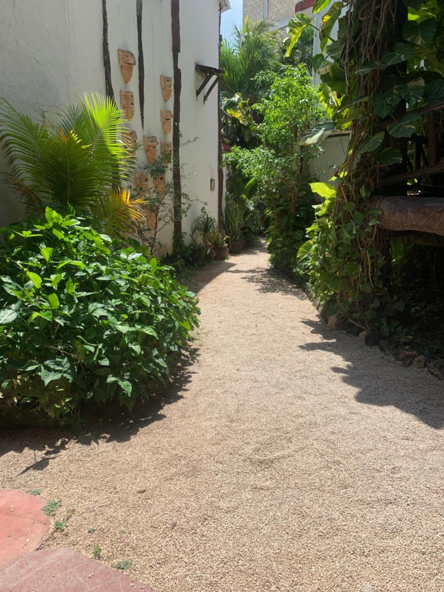 Casa Caribe Cancun Exterior photo A typical alleyway in Tulum