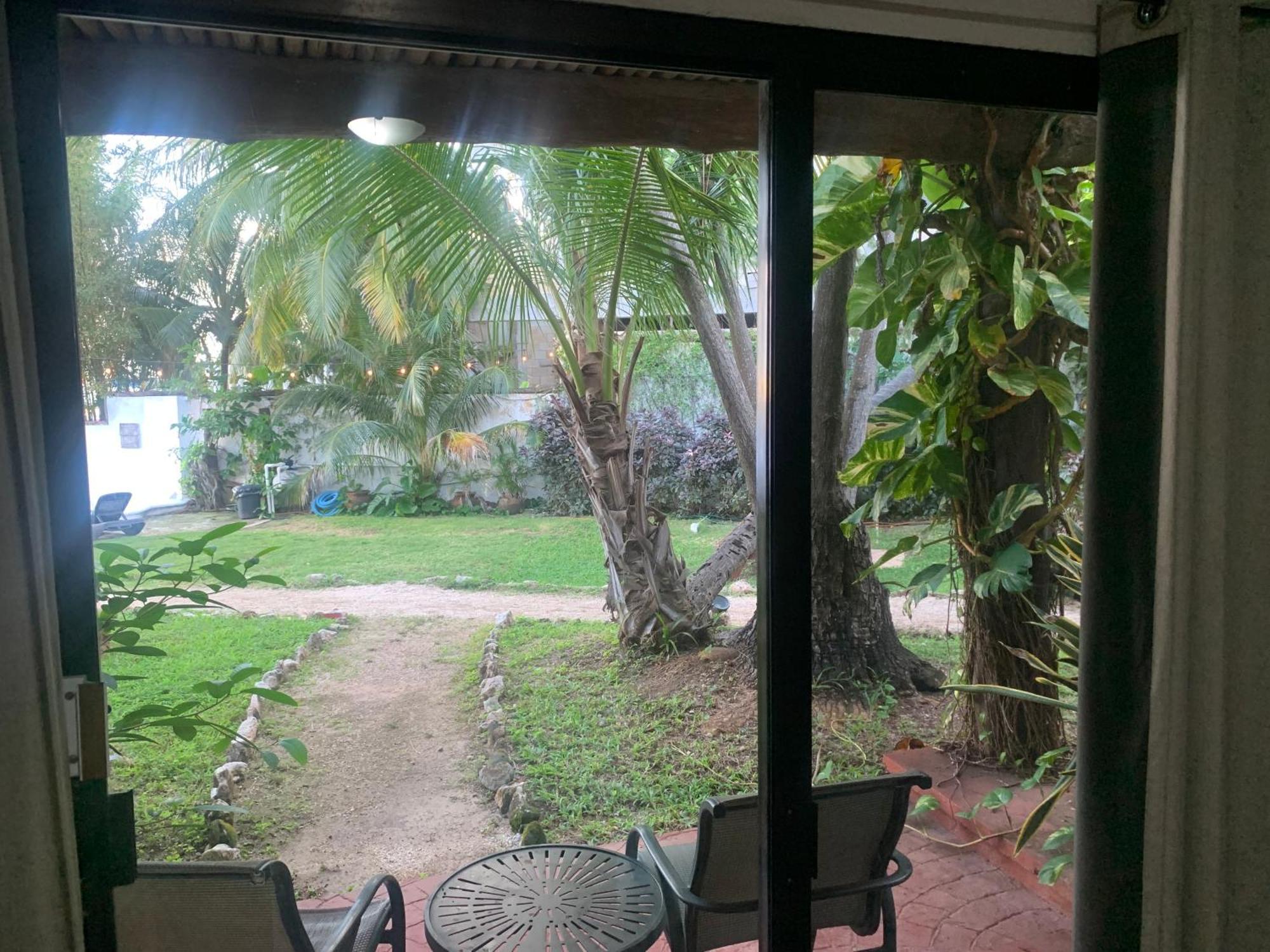 Casa Caribe Cancun Exterior photo View of the garden from the living room